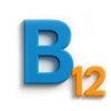 b12