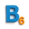 b6