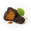chaga