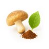 shitake